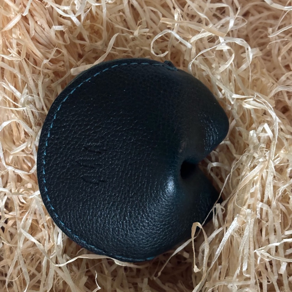Portland Leather Goods Fortune Cookie Pouch in Lagoon